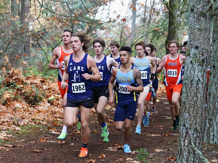 Men's cross country team running on dirt path next to tree