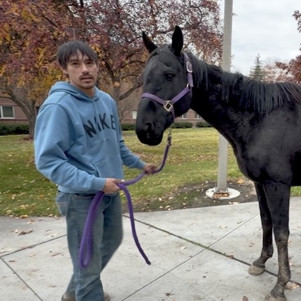 Andrew Whiteman and Moose