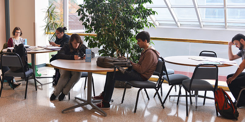 Students studying in cafeteria 